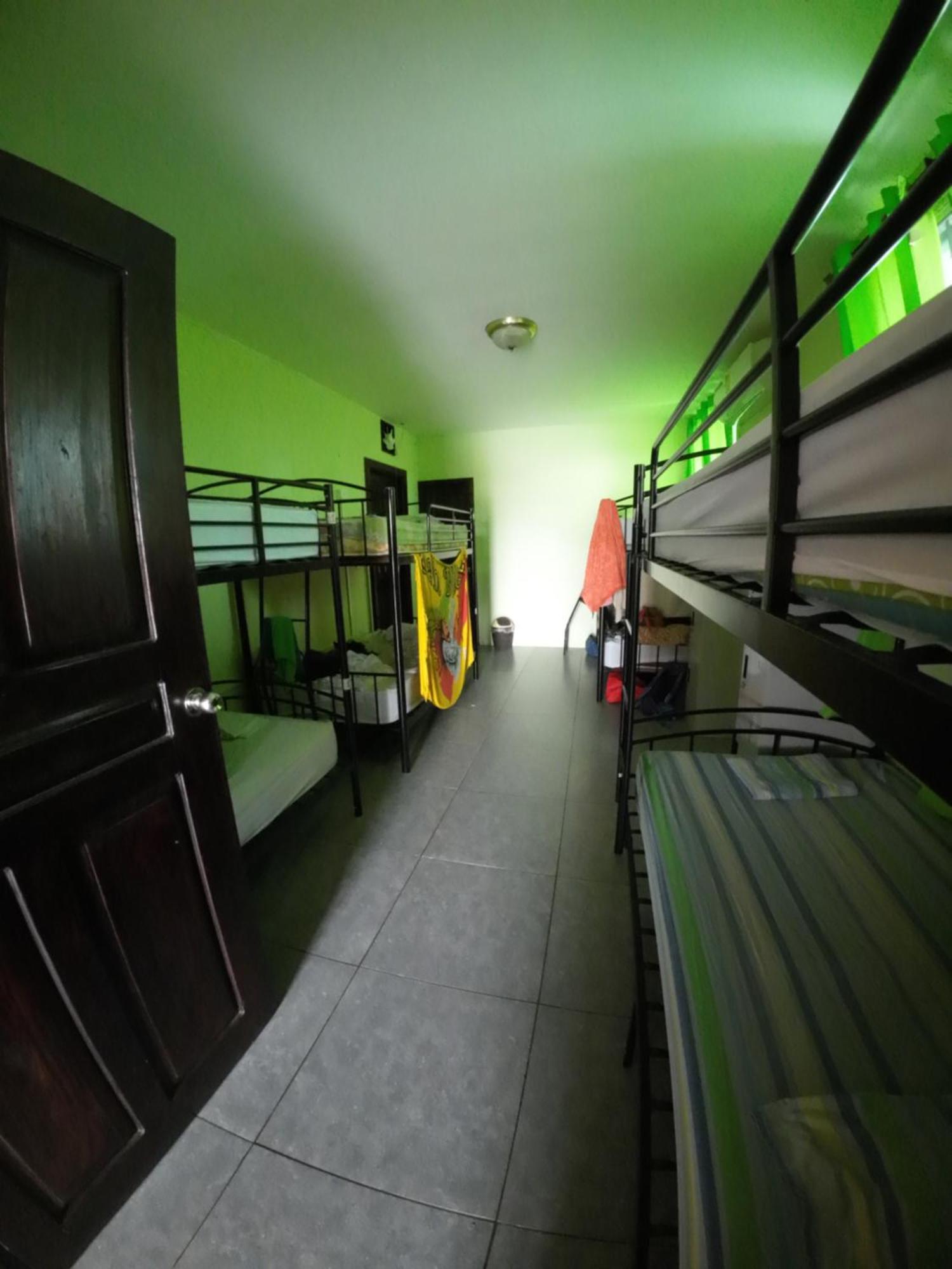 Cataleya Hostel ボカス・タウン エクステリア 写真