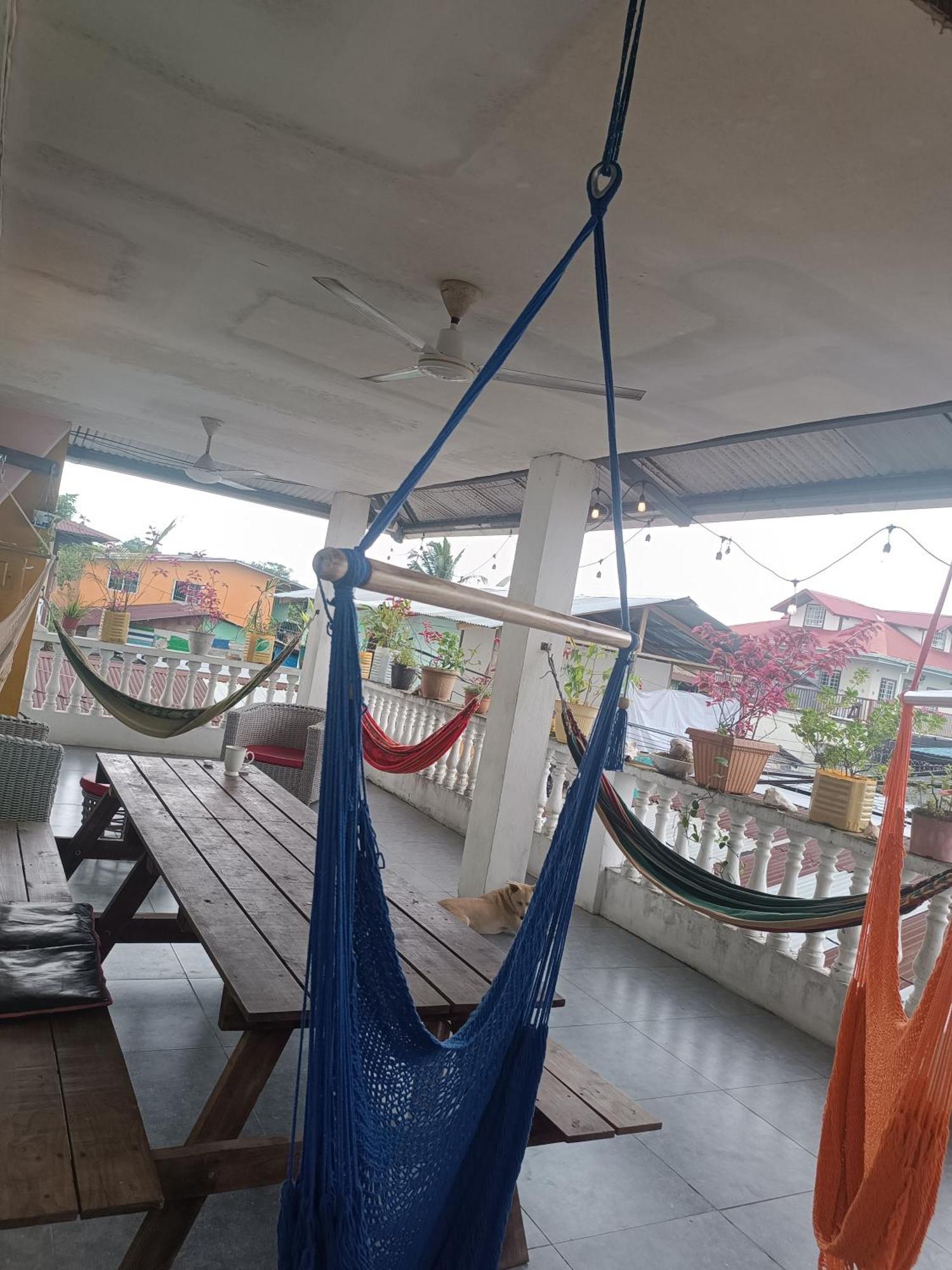 Cataleya Hostel ボカス・タウン エクステリア 写真