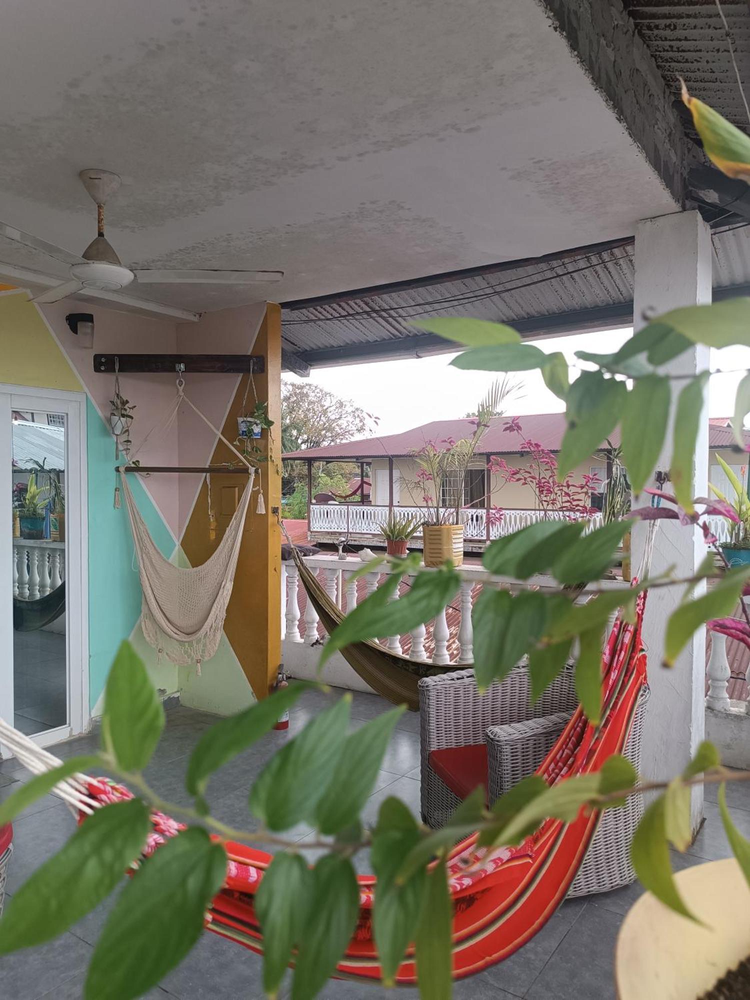 Cataleya Hostel ボカス・タウン エクステリア 写真