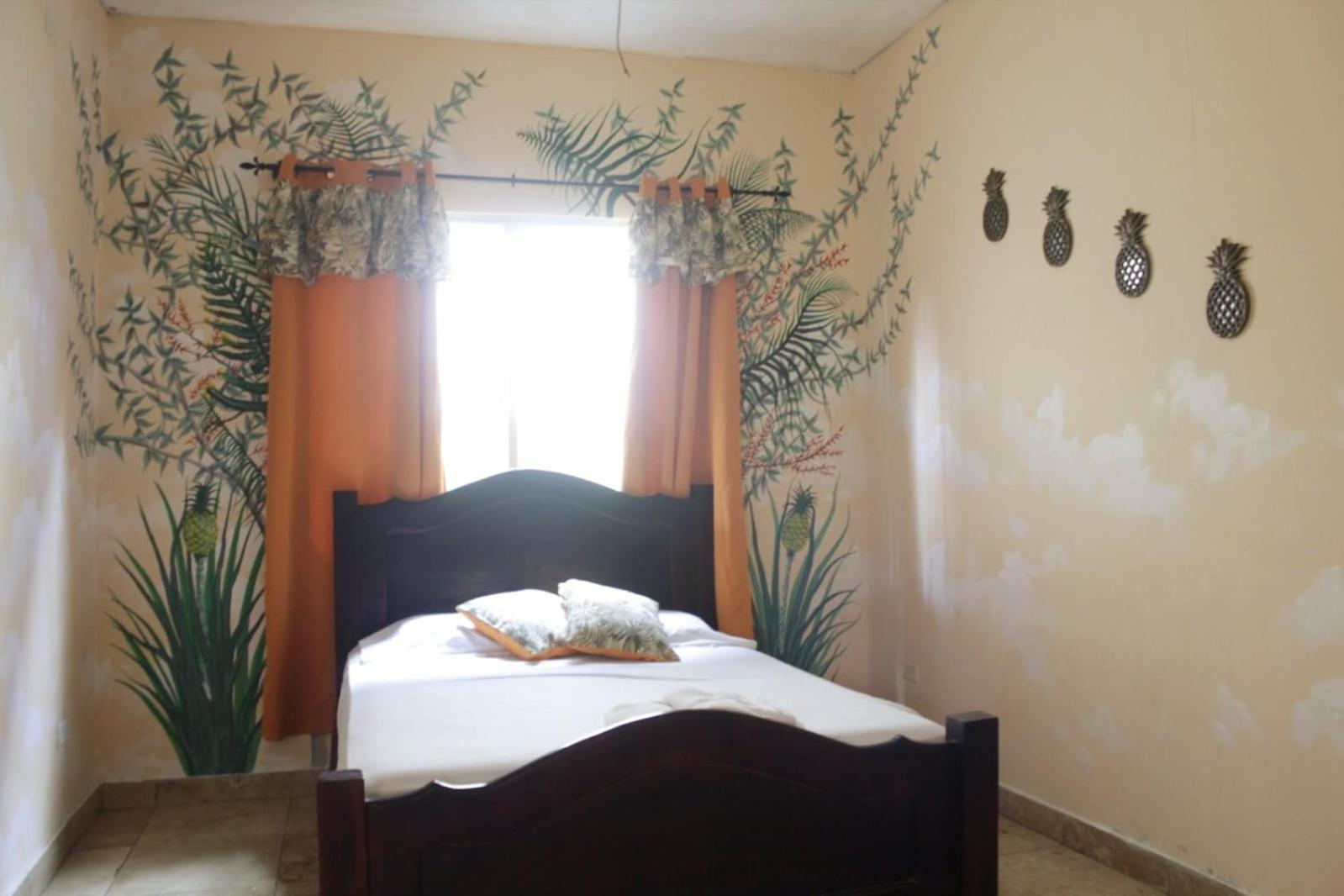 Cataleya Hostel ボカス・タウン エクステリア 写真