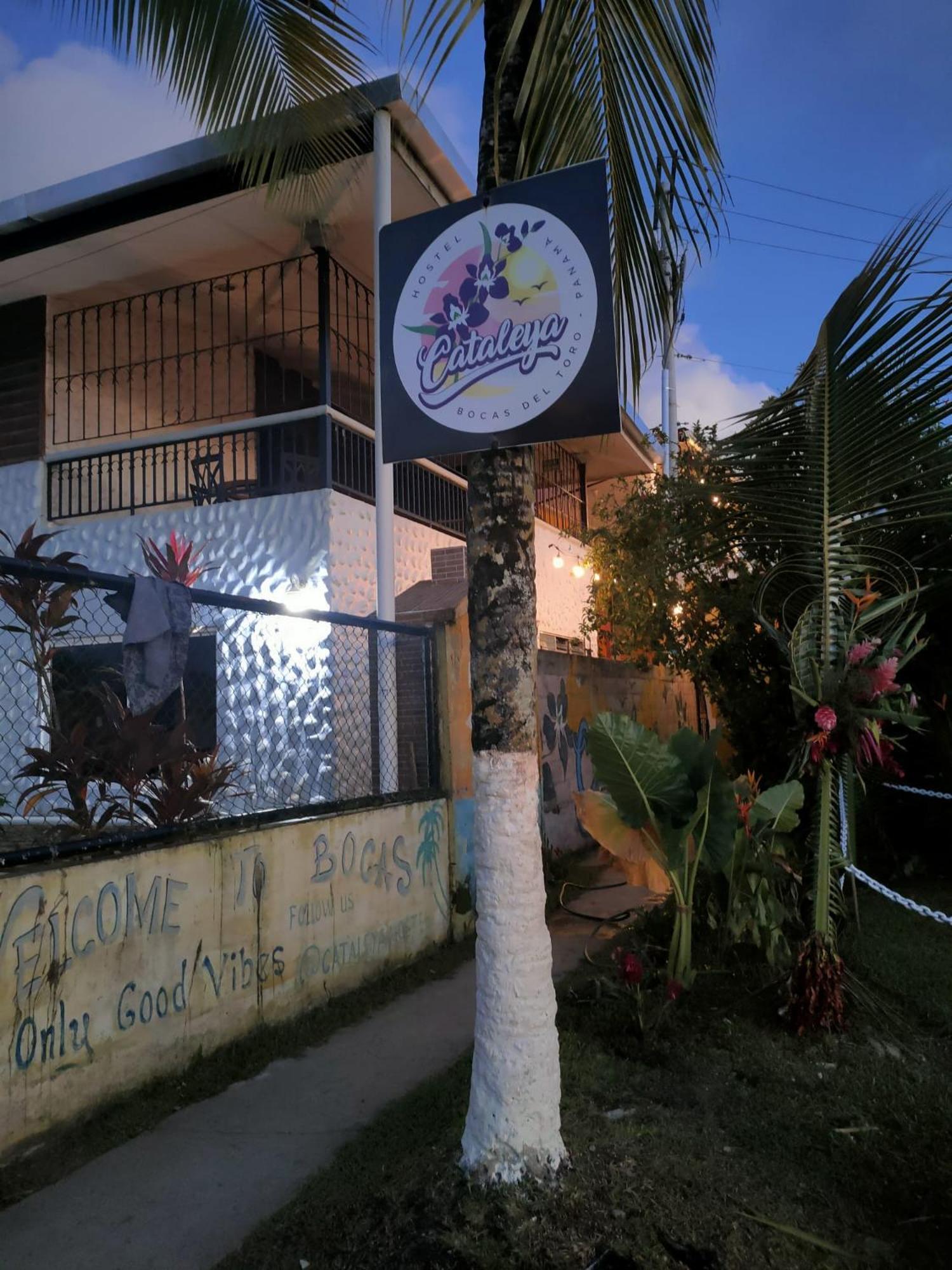 Cataleya Hostel ボカス・タウン エクステリア 写真